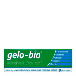 Analgésico e Antirreumático Gelo Bio 52,2 mg/g + 44,4 mg/g + 20,0 mg/g 20g