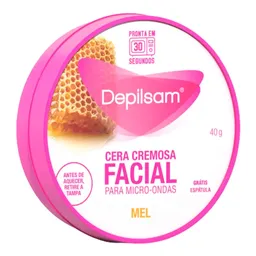 Cera Depilatória Cremosa Facial Depilsam Mel 40g