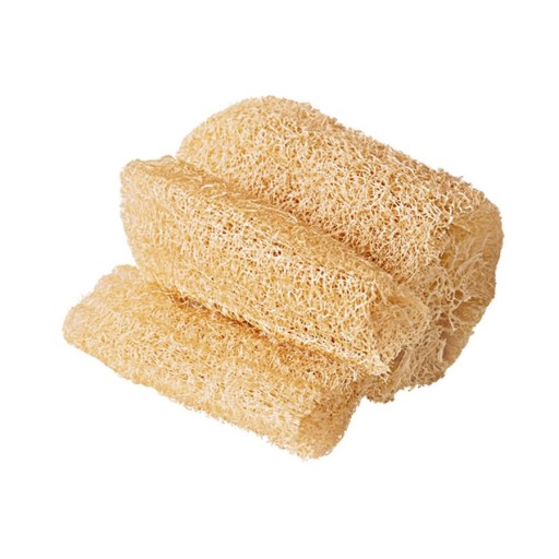Bucha Vegetal Natural NTFlex Esponja de Banho
